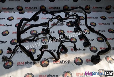 Проводка двигателя AXW, BLR, BLX, BLY, BVX, BVZ - купить Оренбурге