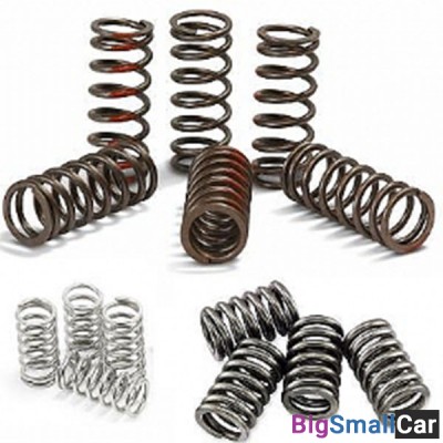 Пружины сцепления FERODO FSS0114 - купить Оренбурге