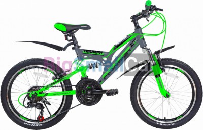 Дорожные велосипеды PIONEER TRIUMPH 20/13 gray-green-black - купить Оренбурге